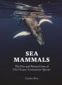 Sea Mammals - Preview