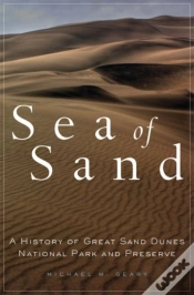 Capa do artigo Sea Of Sand