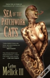 Capa do artigo Sea Of The Patchwork Cats