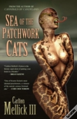 Capa do artigo Sea Of The Patchwork Cats