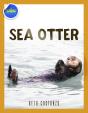 Sea Otter Ages 2-4 - Preview