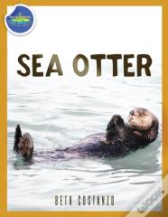Sea Otter Ages 2-4