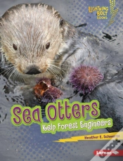 Capa do artigo Sea Otters