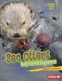 Sea Otters - Preview