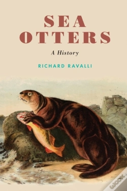 Capa do artigo Sea Otters