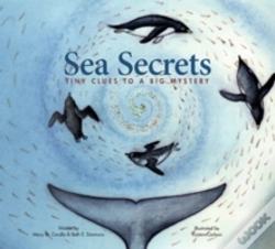 Capa do artigo Sea Secrets