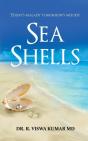 Sea Shells - Preview