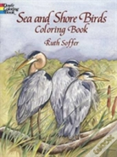 Sea Shore Birds