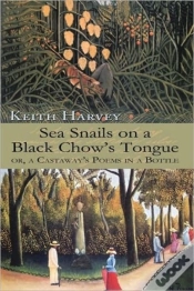 Capa do artigo Sea Snails On A Black Chow