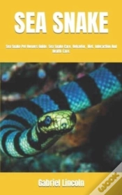 Capa do artigo Sea Snake