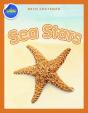Sea Stars Activity Workbook Ages 4-8 - Preview