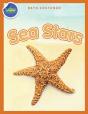 Sea Stars Activity Workbook Ages 4-8 - Preview