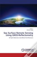 Sea Surface Remote Sensing Using Gnss-Reflectometry