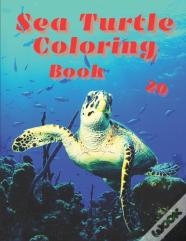 Sea Turtle Coloring Book