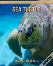 Sea Turtle