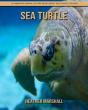 Sea Turtle - Preview