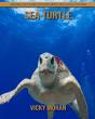 Sea Turtle - Preview