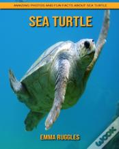 Sea Turtle