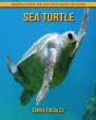 Sea Turtle - Preview