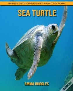 Capa do artigo Sea Turtle