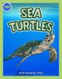 Sea Turtles Activity Workbook Ages 4-8 - Preview