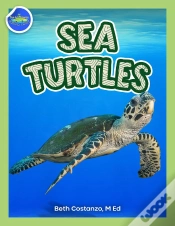 Capa do artigo Sea Turtles Activity Workbook Ages 4-8