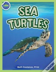 Sea Turtles Activity Workbook Ages 4-8