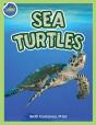 Sea Turtles Activity Workbook Ages 4-8 - Preview