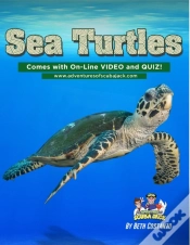 Capa do artigo Sea Turtles