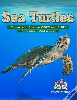 Capa do artigo Sea Turtles