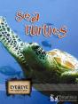 Sea Turtles - Preview