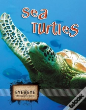Capa do artigo Sea Turtles (E2e)