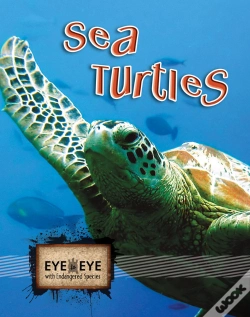 Capa do artigo Sea Turtles (E2e)