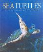Sea Turtles - Preview