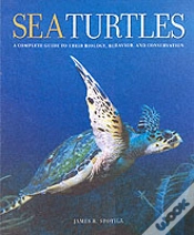 Capa do artigo Sea Turtles