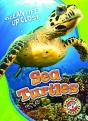 Sea Turtles - Preview