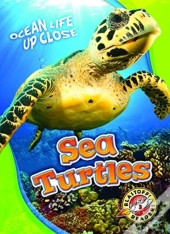 Sea Turtles