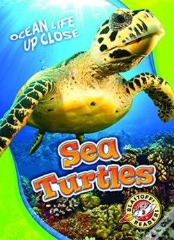 Capa do artigo Sea Turtles