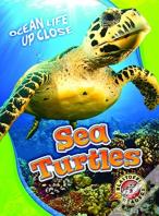 Sea Turtles