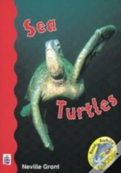 Capa do artigo Sea Turtles