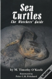 Sea Turtles