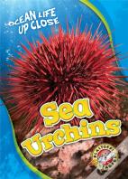 Sea Urchins