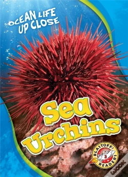 Capa do artigo Sea Urchins