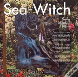 Capa do artigo Sea-Witch