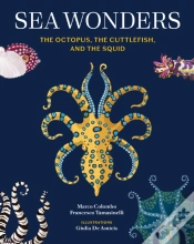 Capa do artigo Sea Wonders