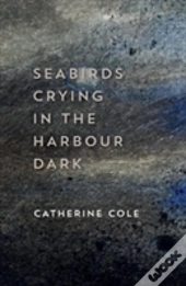 Seabirds Crying In The Harbour Dark