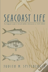 Seacoast Life