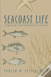 Capa do artigo Seacoast Life