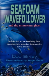 Capa do artigo Seafoam Wavefollower And The Mysterious Ghost