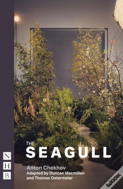 Capa do artigo Seagull